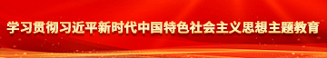 91屌爽学习贯彻习近平新时代中国特色社会主义思想主题教育